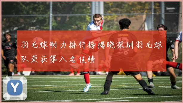 羽毛球耐力排行榜揭晓深圳羽毛球队荣获第八名佳绩