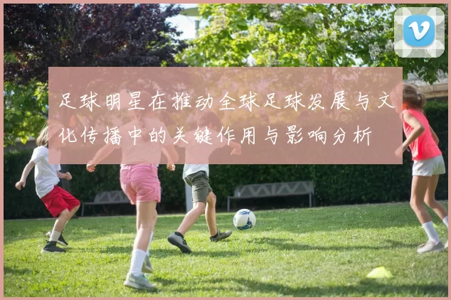 足球明星在推动全球足球发展与文化传播中的关键作用与影响分析