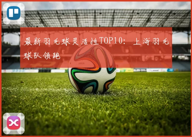 最新羽毛球灵活性TOP10：上海羽毛球队领跑