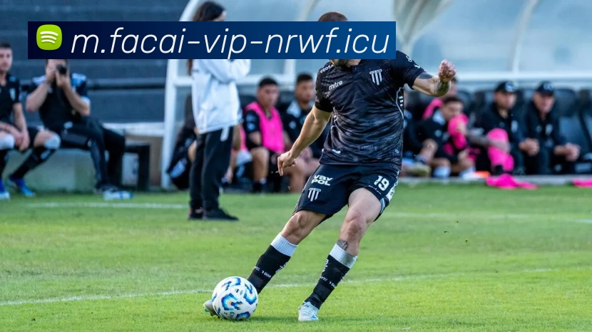 足球明星豪车大盘点揭晓他们最爱的座驾与驾驶体验